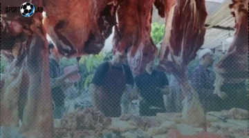 أسعار اللحمة البلدي في كفر الشيخ اليوم الخميس 6 نوفمبر 2025